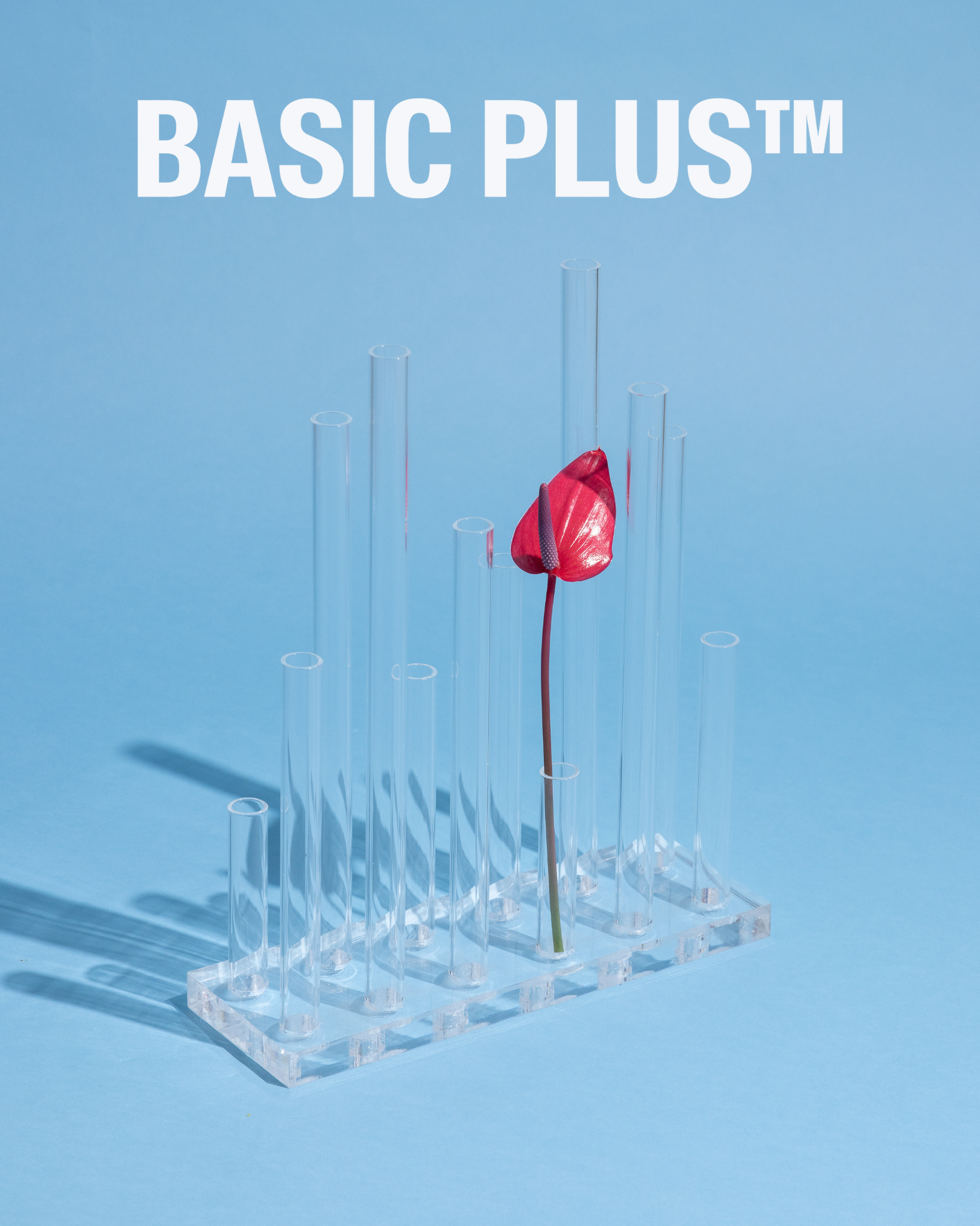 Clear Acrylic Tubular Flower & Plant Holder