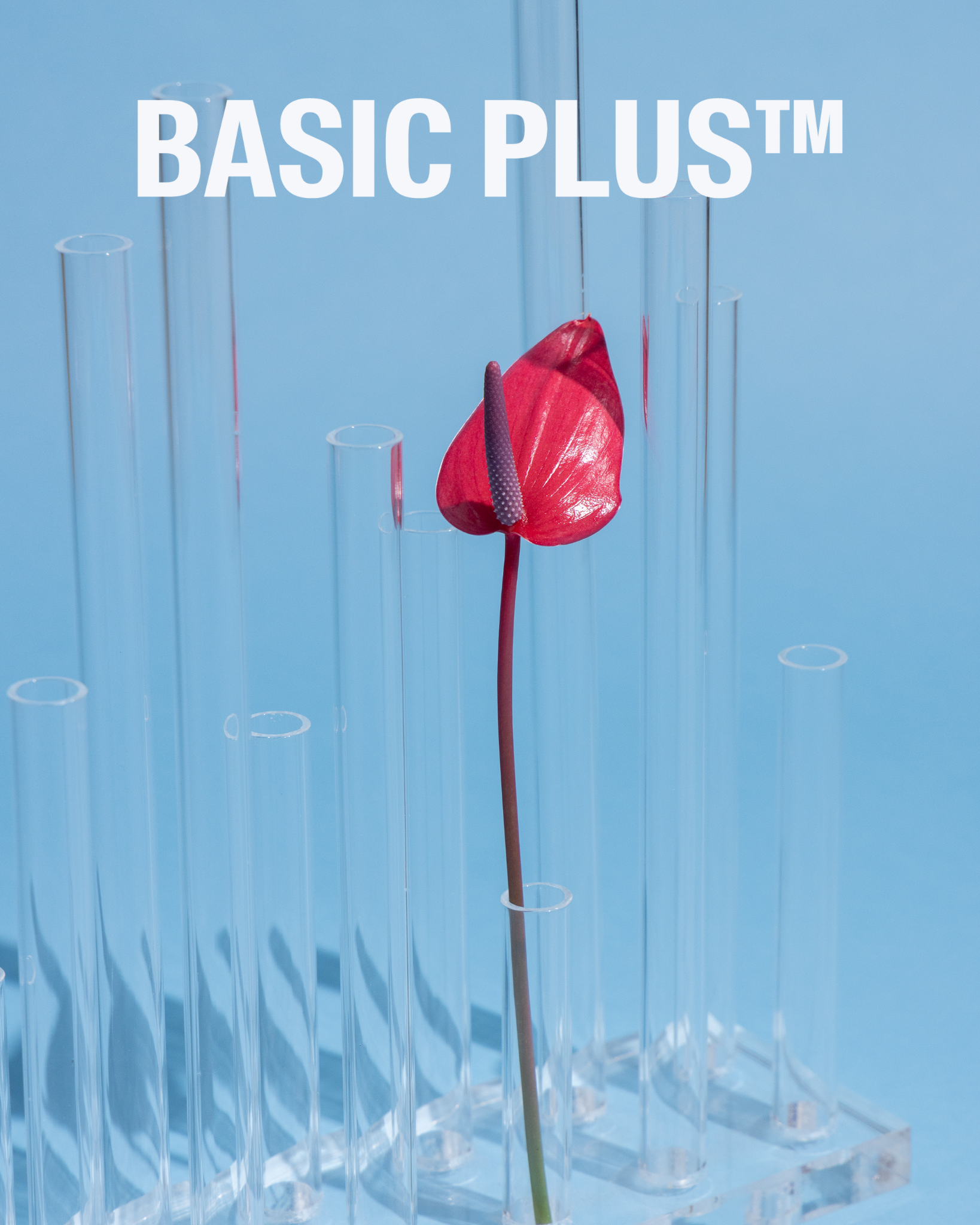 Clear Acrylic Tubular Flower & Plant Holder