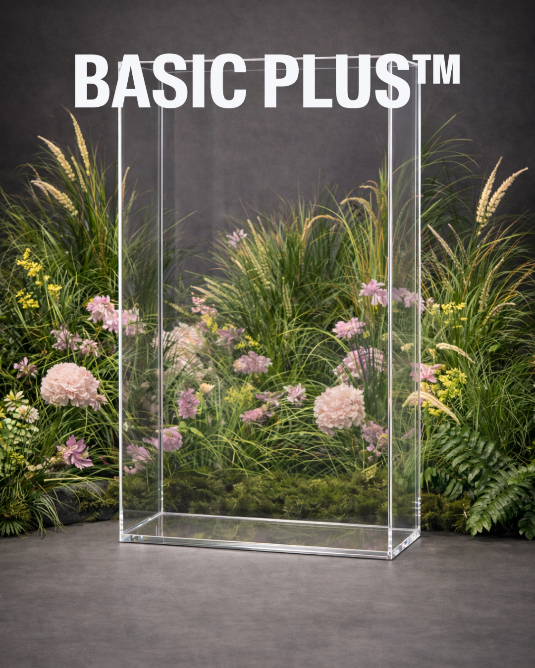 Slim Acrylic Display Box