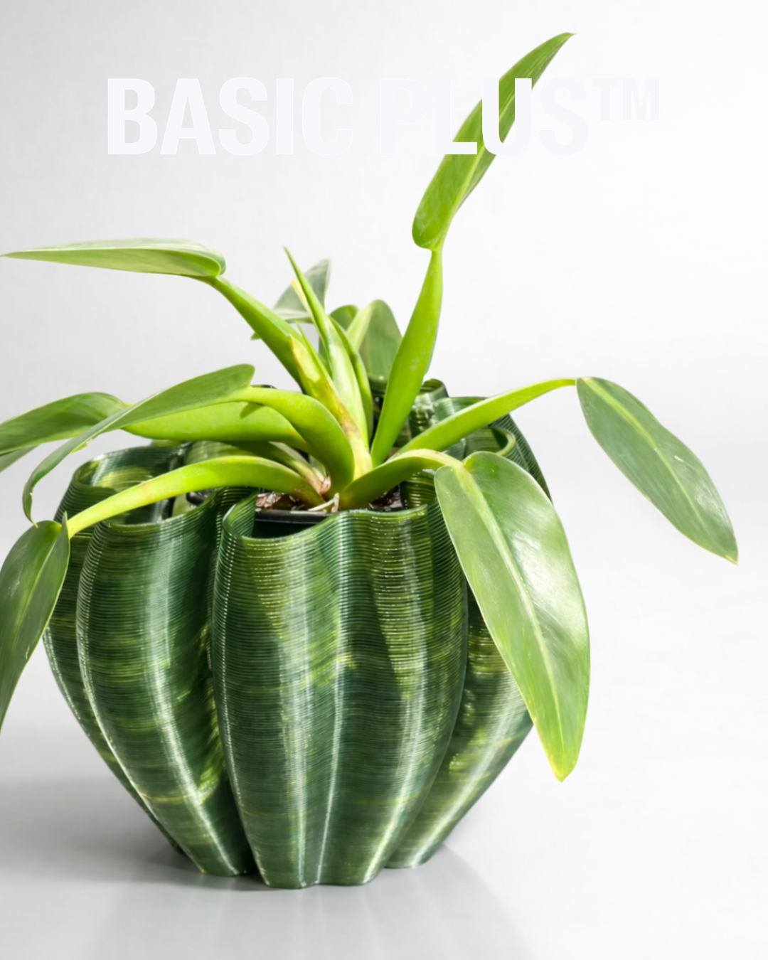 BORU — Contemporary 3D-Printed Centerpiece