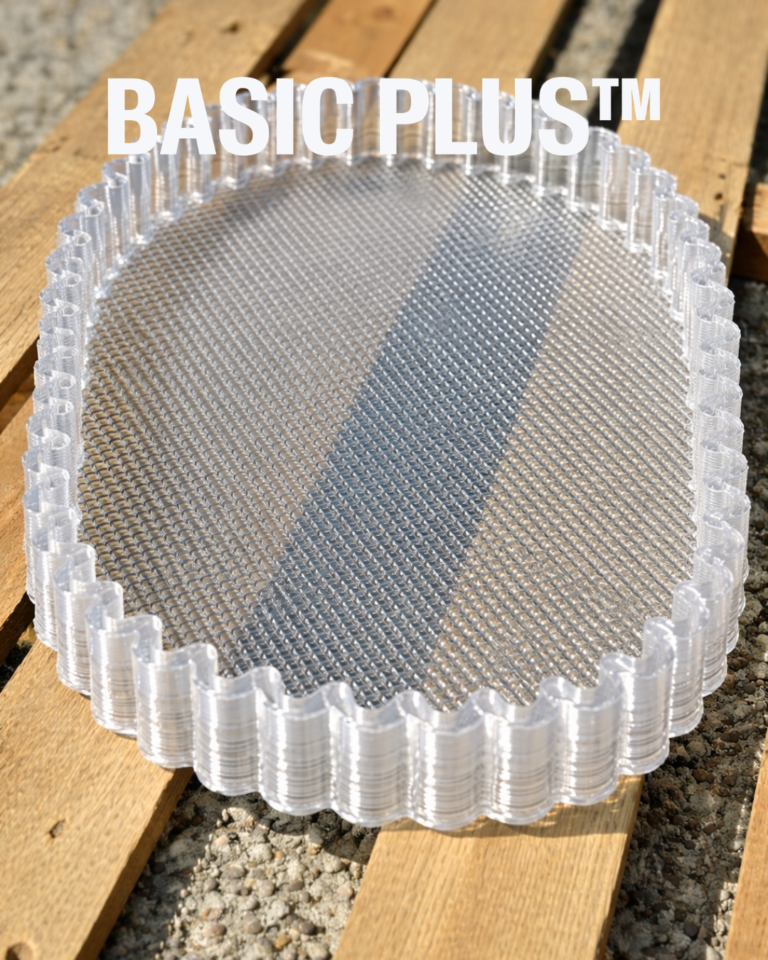 Scallop Edge PETG Oval Tray