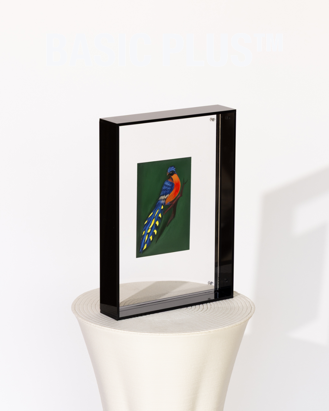 Black Acrylic Molly Frame