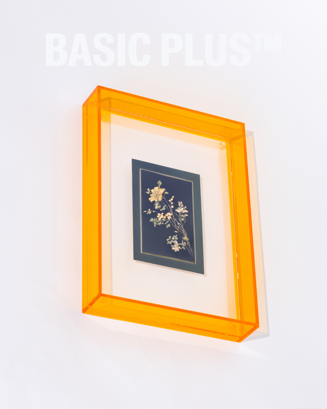 Transparent Amber Acrylic Molly Frame