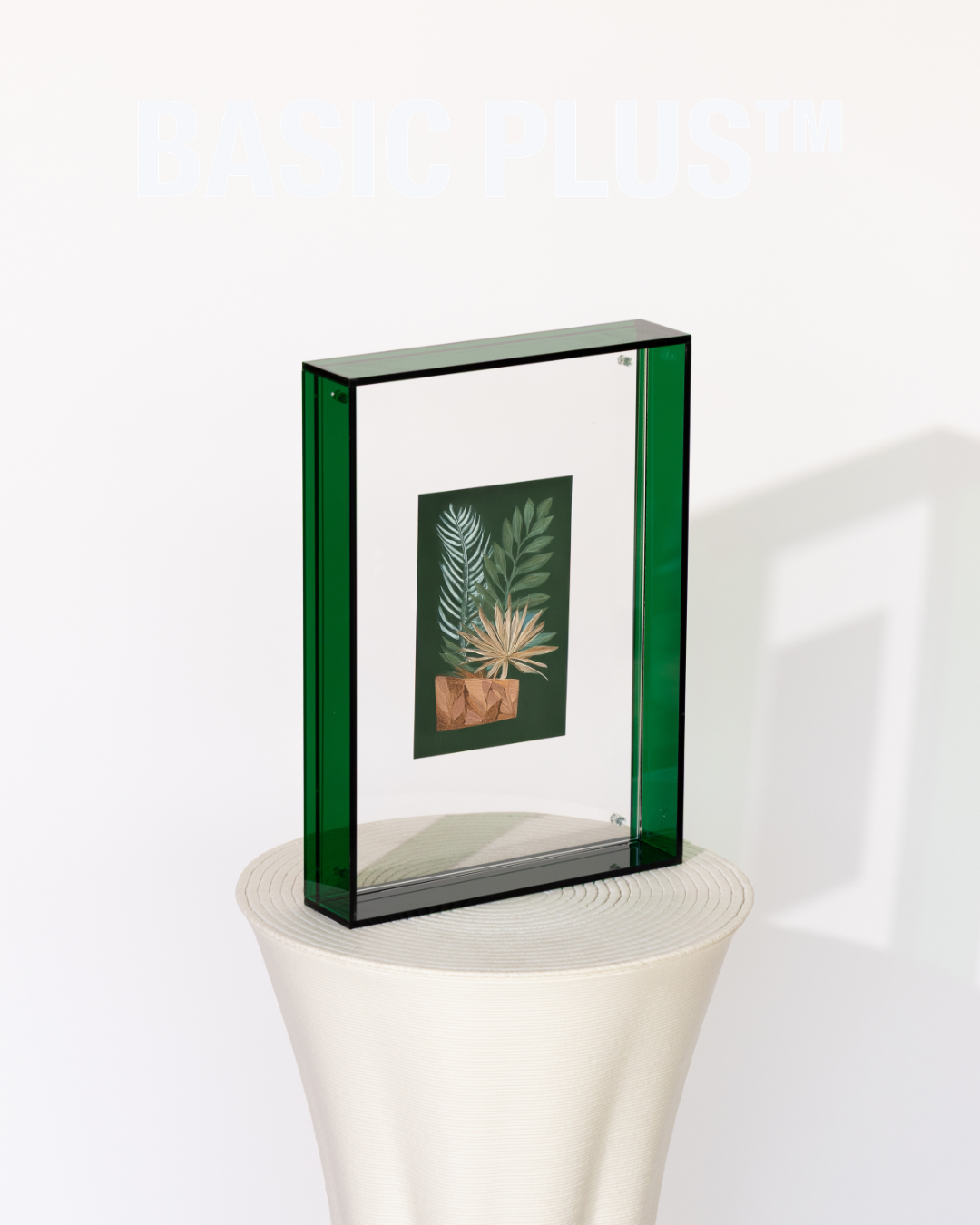 Transparent Green Acrylic Molly Frame